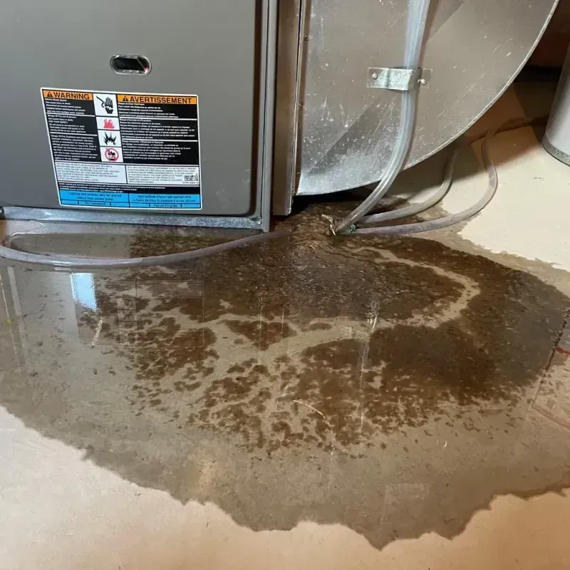 Appliance Leak Cleanup in Elbridge, NY